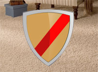 New Jersey Carpet Protector