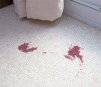 New Jersey Deep Stain Removal