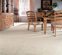 New Jersey Residential Carpet Cleaning
